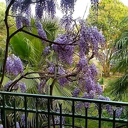 La Maison Botanique 3*