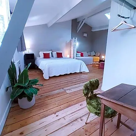 Bed & Breakfast La Maison Botanique Castillon-la-Bataille